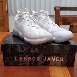 LeBron XIV Low Basketball Shoes 10 White